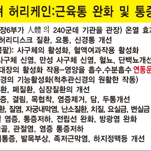 레이져 온열 허리케인