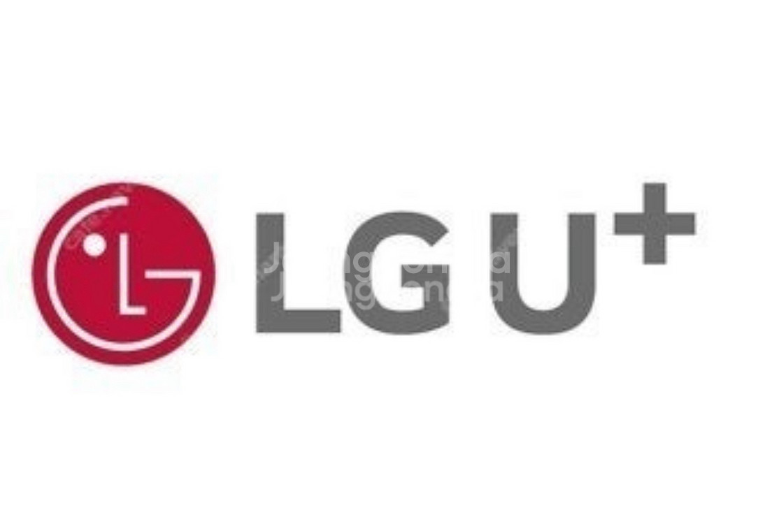 lg 데이터 엘지 데이터 2gb--0