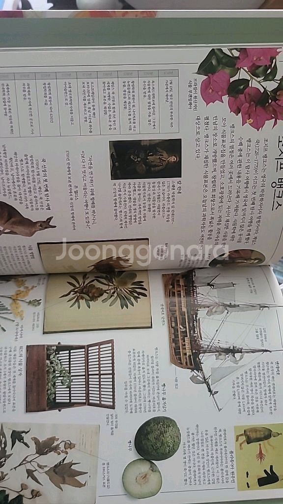웅진 비주얼 박물관--2