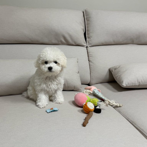 흠뻑쇼 광주 티켓 삽니다