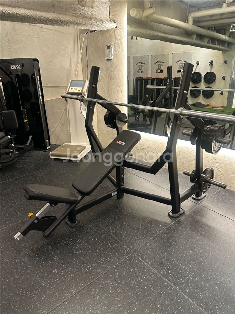 디랙스 멀티랙.숄더벤치(직각벤치).디렉스 슈파인올림픽인--3