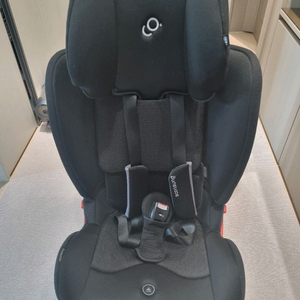 순성 브릭스 카시트