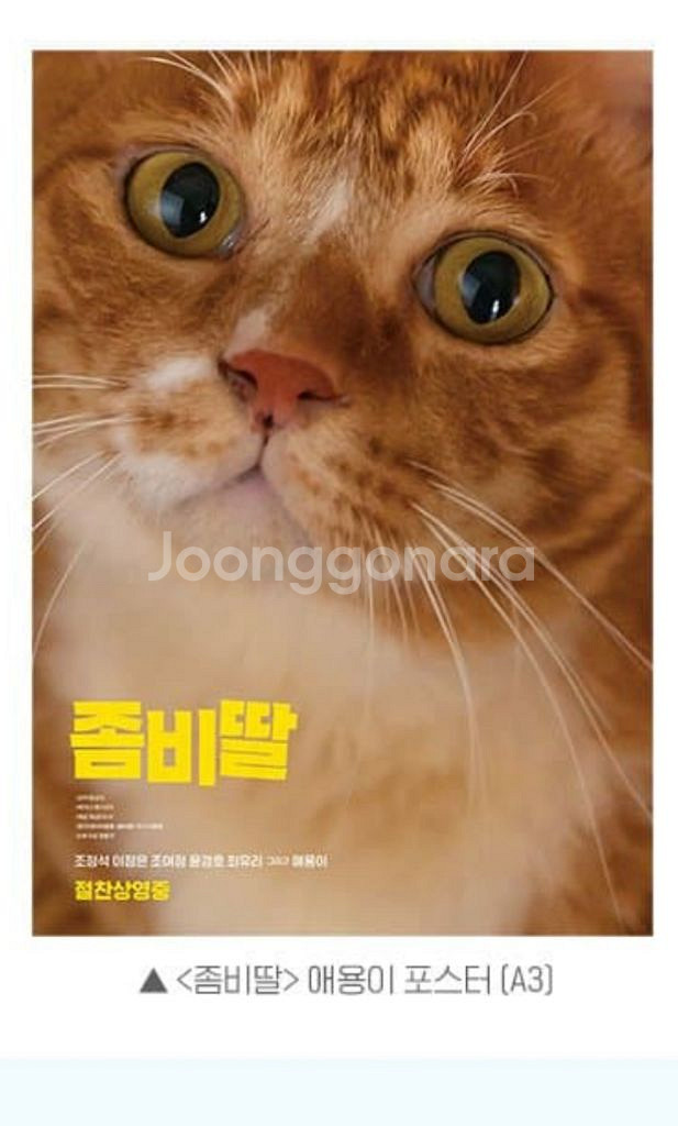 좀비딸 애용이 포스터 20일 대리수령--0