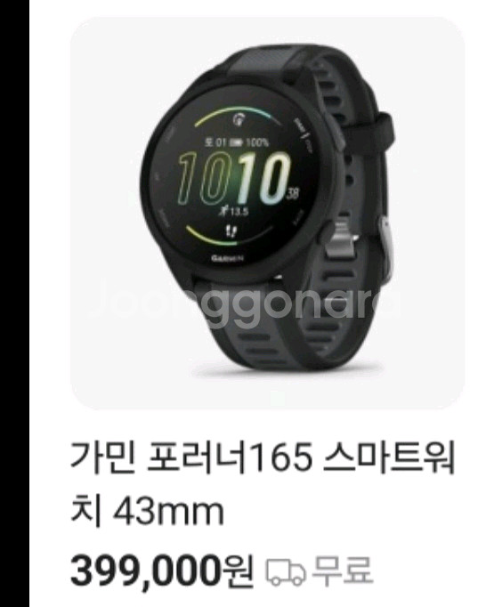 가민 포러너 165--4