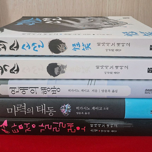 도서 : 히가시노 게이고