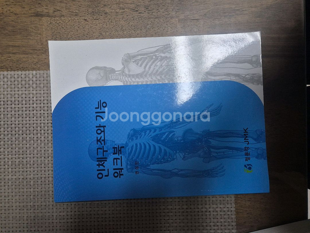 인체구조와기능 정문각--3