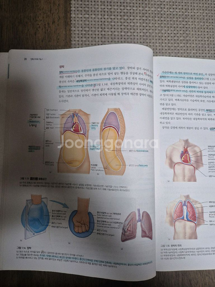 인체구조와기능 정문각--1