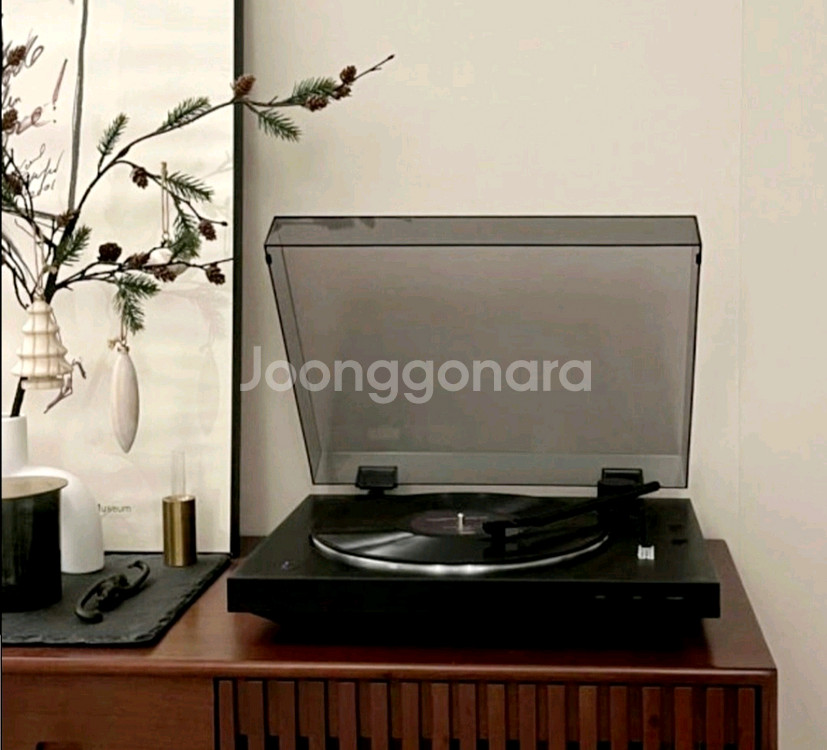 소니 PS-LX310BT 턴테이블(블루투스 기능)--0