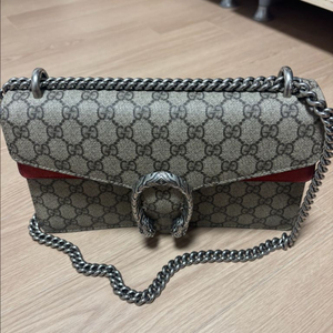 구찌 디오니소스 GG