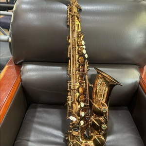 제니쿠퍼 플레티늄 알토 색소폰