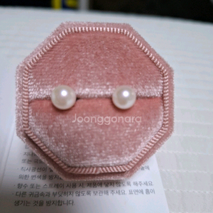 14k해수 아코아 진주 귀걸이