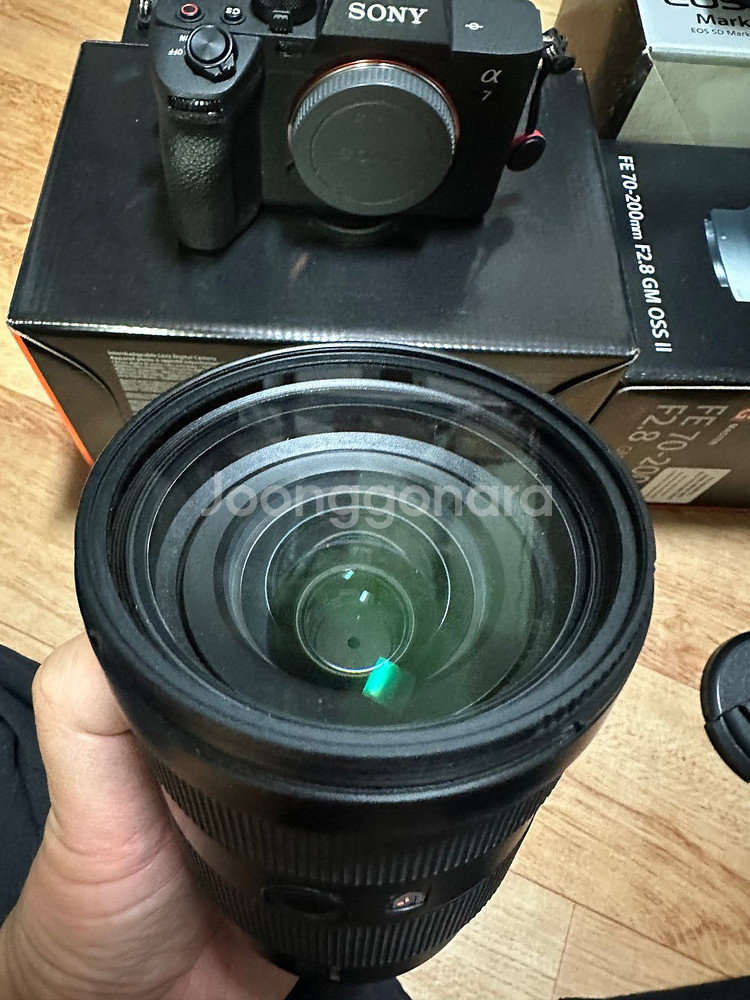 대구신동급소니 A7M4,24-70GM,70-200GM2--5