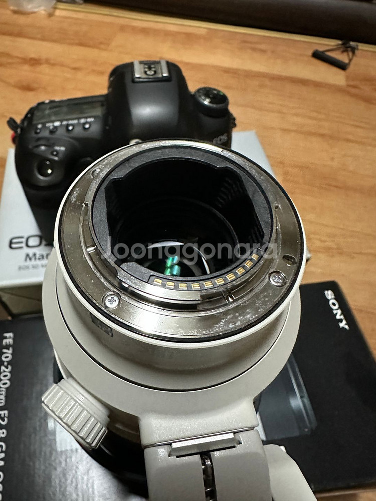 대구신동급소니 A7M4,24-70GM,70-200GM2--8