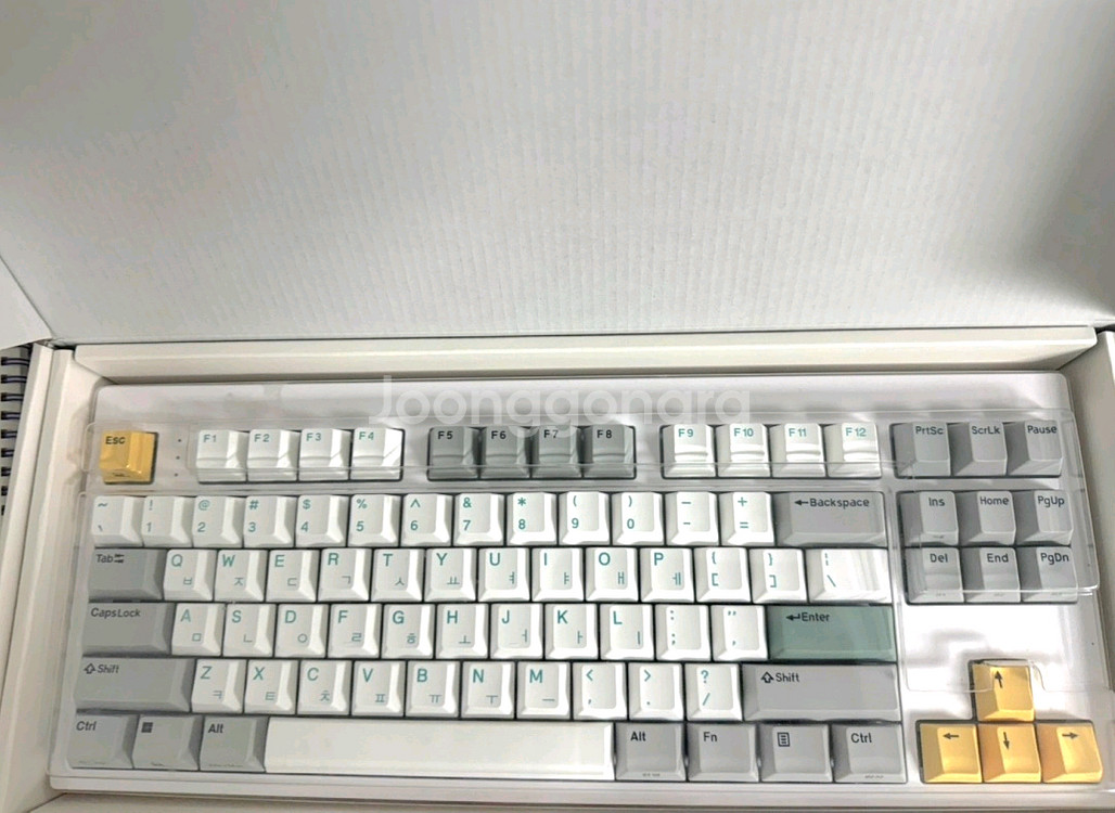 한성 TFX GTO 샤크축 무선 텐키리스 키보드--2