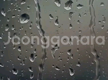 배스킨라빈스 쿼터--0
