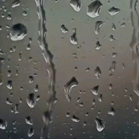 배스킨라빈스 쿼터