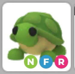 입양하세요 네온 날타 거북이--0