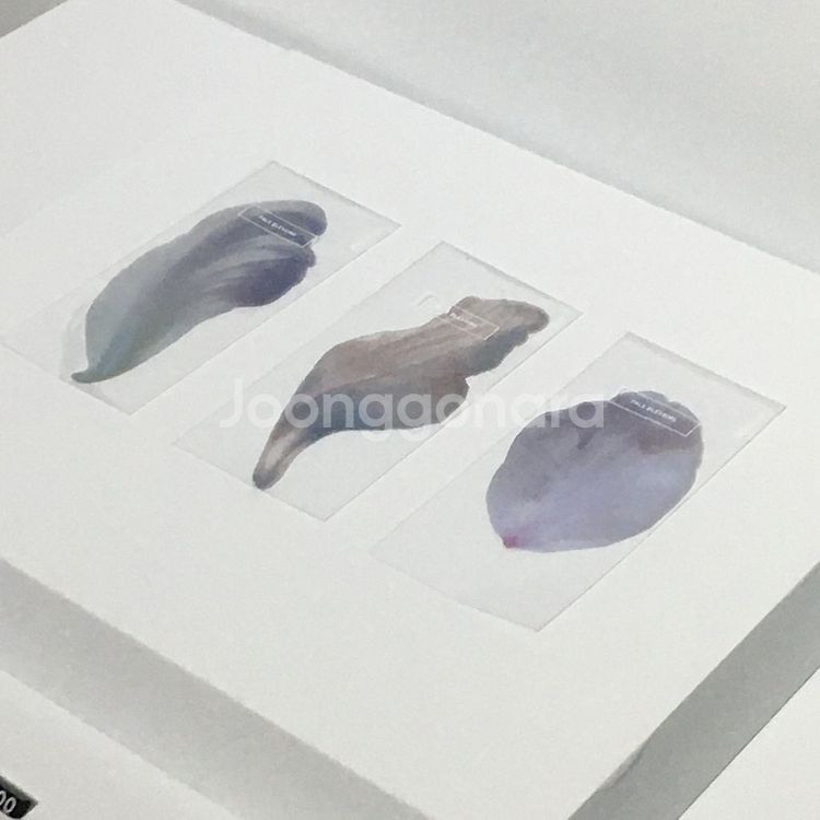 이옥토 캐논 사진전 전시회 꽃잎 책갈피 3종--0