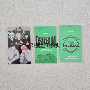 플레이브 여섯번째 여름 여여 볼캡 포카 이미지