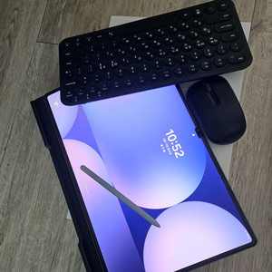 갤럭시 탭 s10 울트라 256 wife