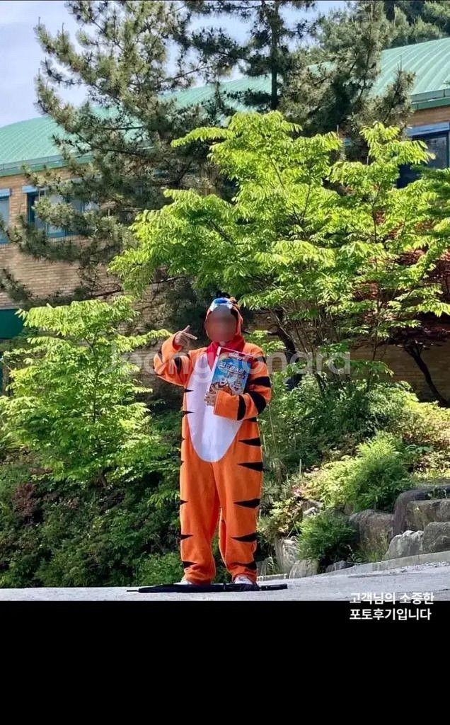 졸업사진 대여) 콘푸로스트 토니 호랑이--0