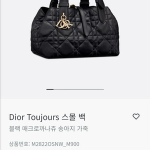 디올 뚜주흐 스몰 새제품