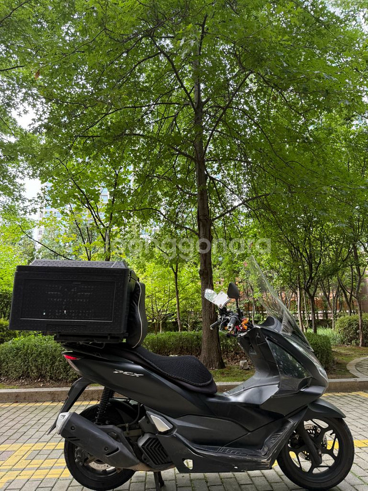 pcx125 21년식 abs모델--5