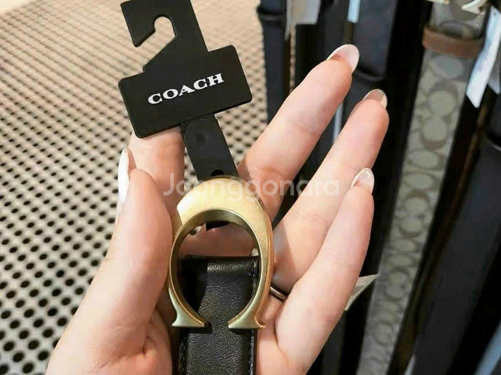 코치 여성 벨트 [새상품]해외--2