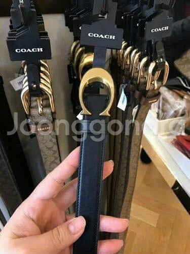 코치 여성 벨트 [새상품]해외--3