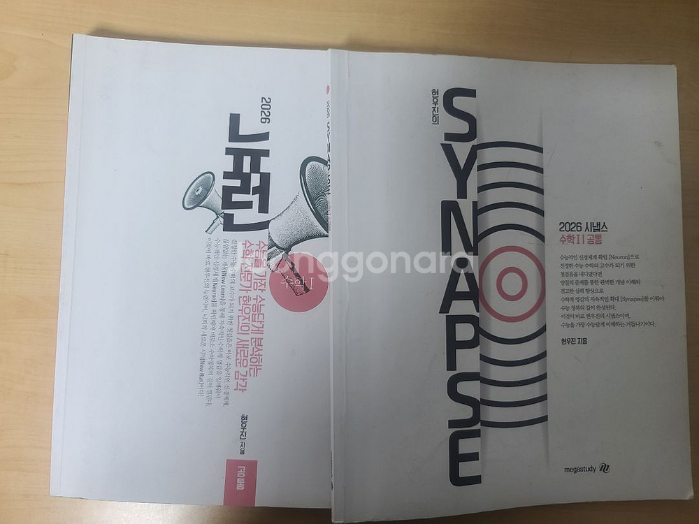 뉴런 수1 시냅스 수1 (네고가능)--0