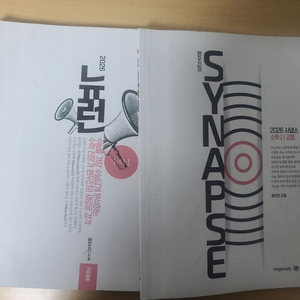 뉴런 수1 시냅스 수1 (네고가능)
