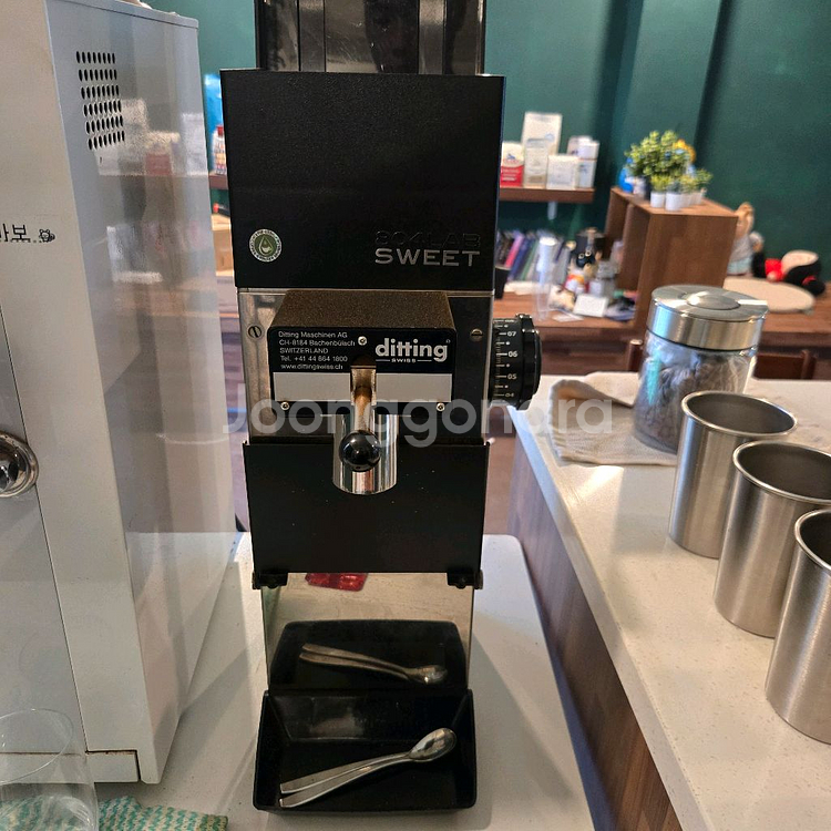 디팅 804 랩스윗 판매합니다--0