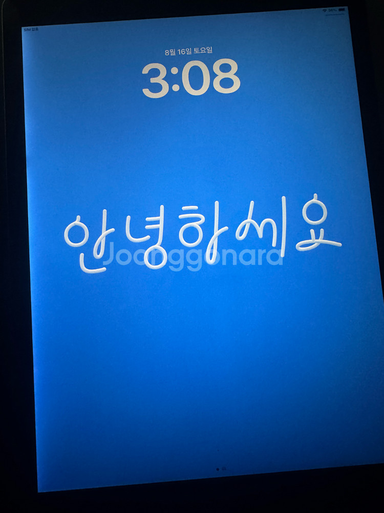 아이패드 프로 12.9 2세대 셀룰러 256gb--0