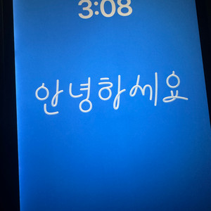 아이패드 프로 12.9 2세대 셀룰러 256 펜슬포함