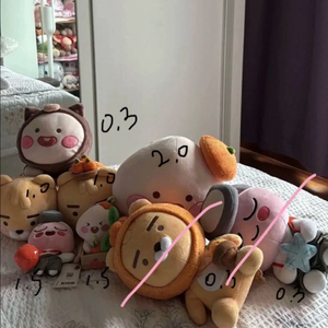 해녀어피치 흑돼지어피치 감귤라이언 감귤어피치