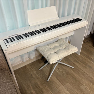 카시오 privaia px-160