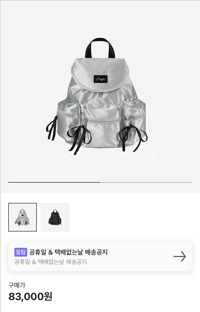 페넥 베리 포켓 백팩 실버--0