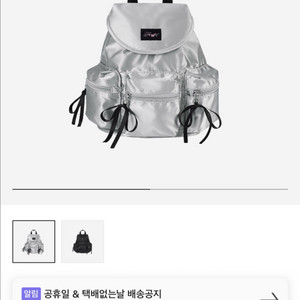 페넥 베리 포켓 백팩 실버