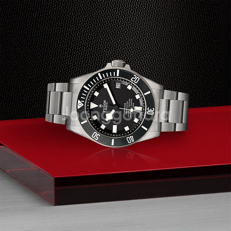 튜더 펠라고스 티타늄 데이트 42mm 블랙--0