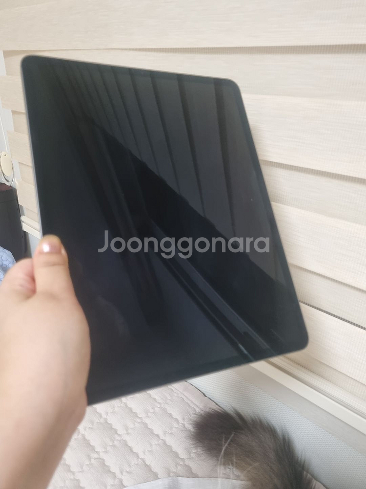 펜슬+아이패드 프로12.9 4세대256g 셀룰러+스탠드--0