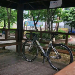 급처!!!!!콘스탄틴 어베인 2023년식 판매해요!!