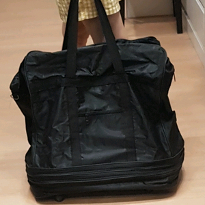 캐리어 가방