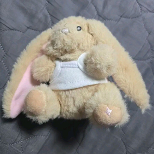 글로니 아임로니 키링 인형 양도