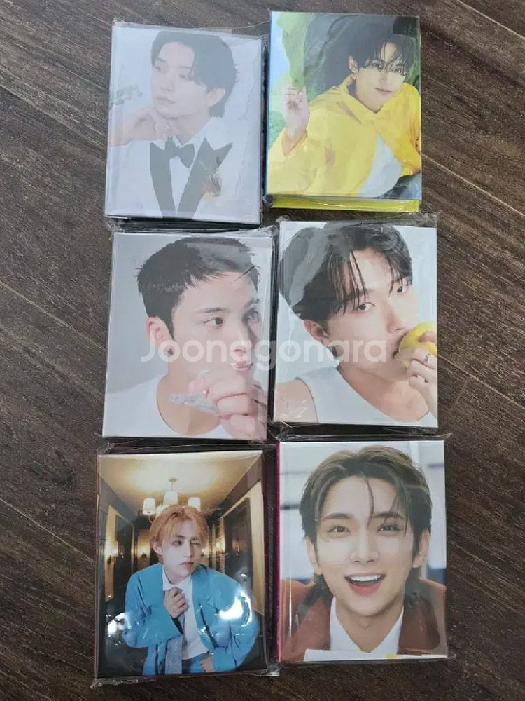 세븐틴 인형 더러노니 논버 솔표 캐럿반 비공굿 틴케--2