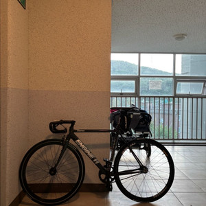 엔진11볼텍스 24년식 판매,대차 (로드,mtb만)급처