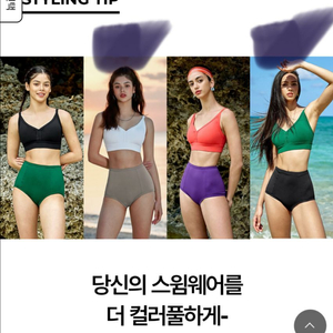 젝시믹스 워터웨어s(블랙라벨 시그니처라이프 브이 커브)