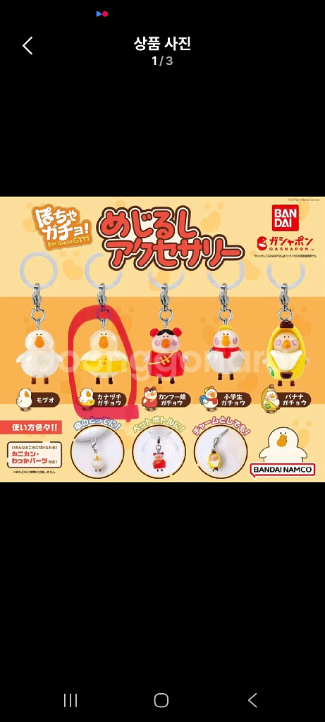 포챠가쵸 거위헬스장 메지루시--0