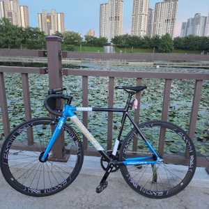 엔진11 크릿디 블루스킨