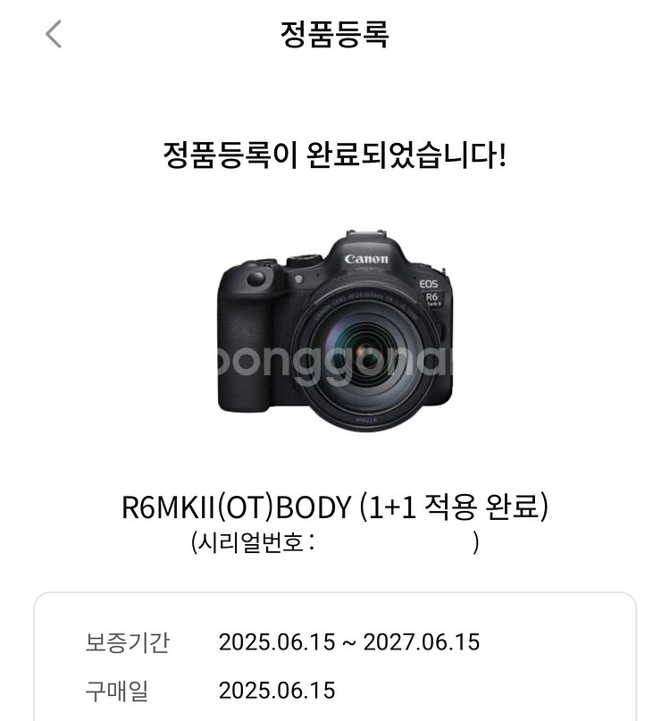 캐논 r6 mark 2 알육막투 카메라 바디--1