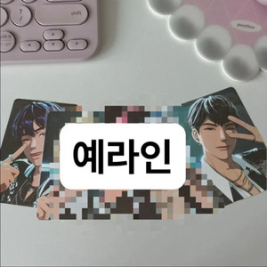 플레이브 콘서트 플리존 포카(예라인 일괄)